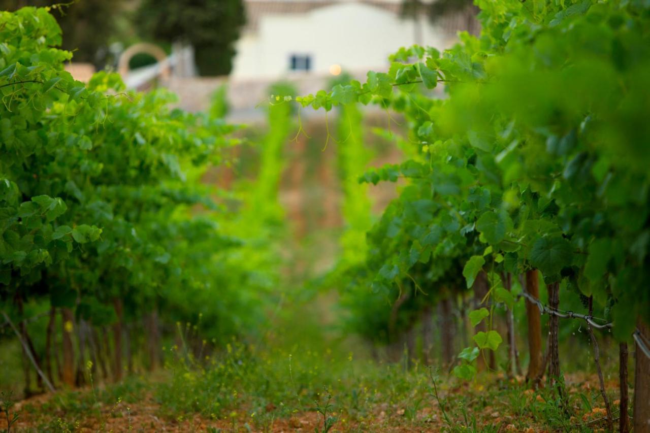 Quinta Dos Vales Wine Estate Pension Estômbar Buitenkant foto